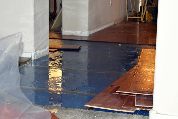 Professional Water Damage Restoration technician working in Everett, WA